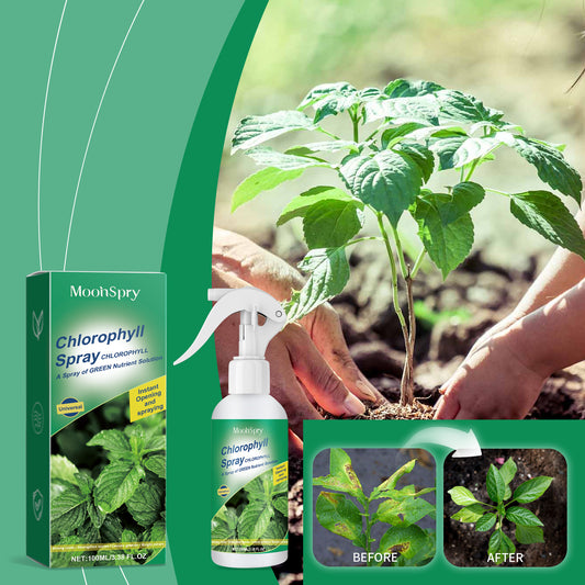 Chlorophyll Spray – Green Plant Nutrient Solution for Healthy Leaf Growth