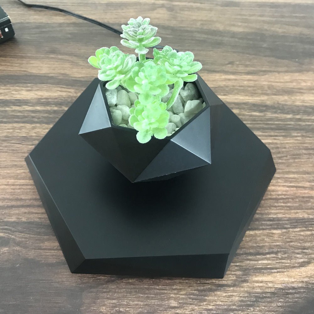 Floating Magnetic Levitating Flower Pot for Desk Decor