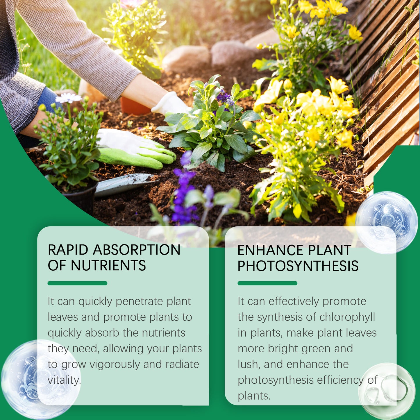 Chlorophyll Spray – Green Plant Nutrient Solution for Healthy Leaf Growth