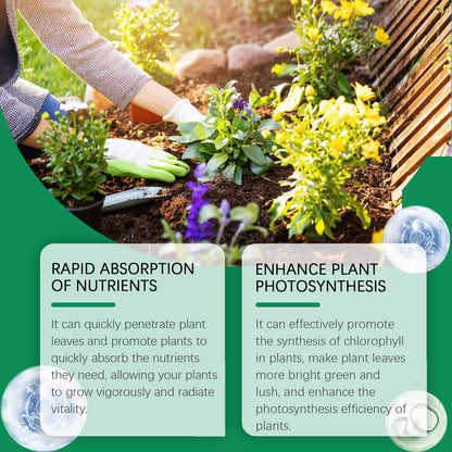 Chlorophyll Spray – Green Plant Nutrient Solution for Healthy Leaf Growth