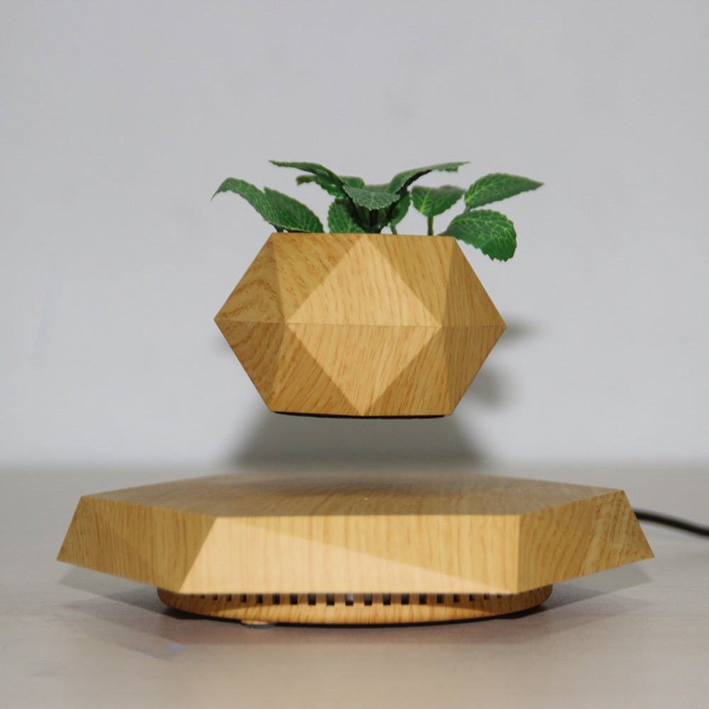 Floating Magnetic Levitating Flower Pot for Desk Decor