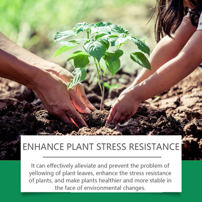 Chlorophyll Spray – Green Plant Nutrient Solution for Healthy Leaf Growth