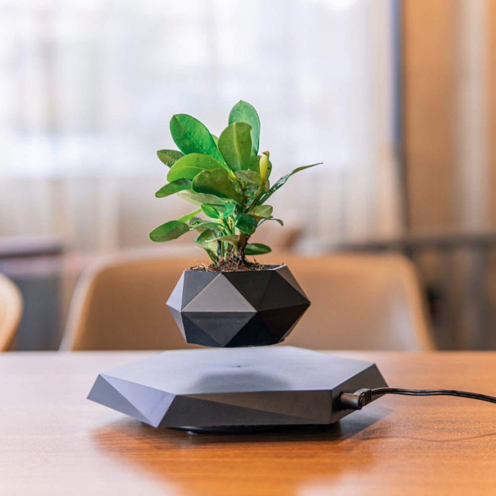 Floating Magnetic Levitating Flower Pot for Desk Decor