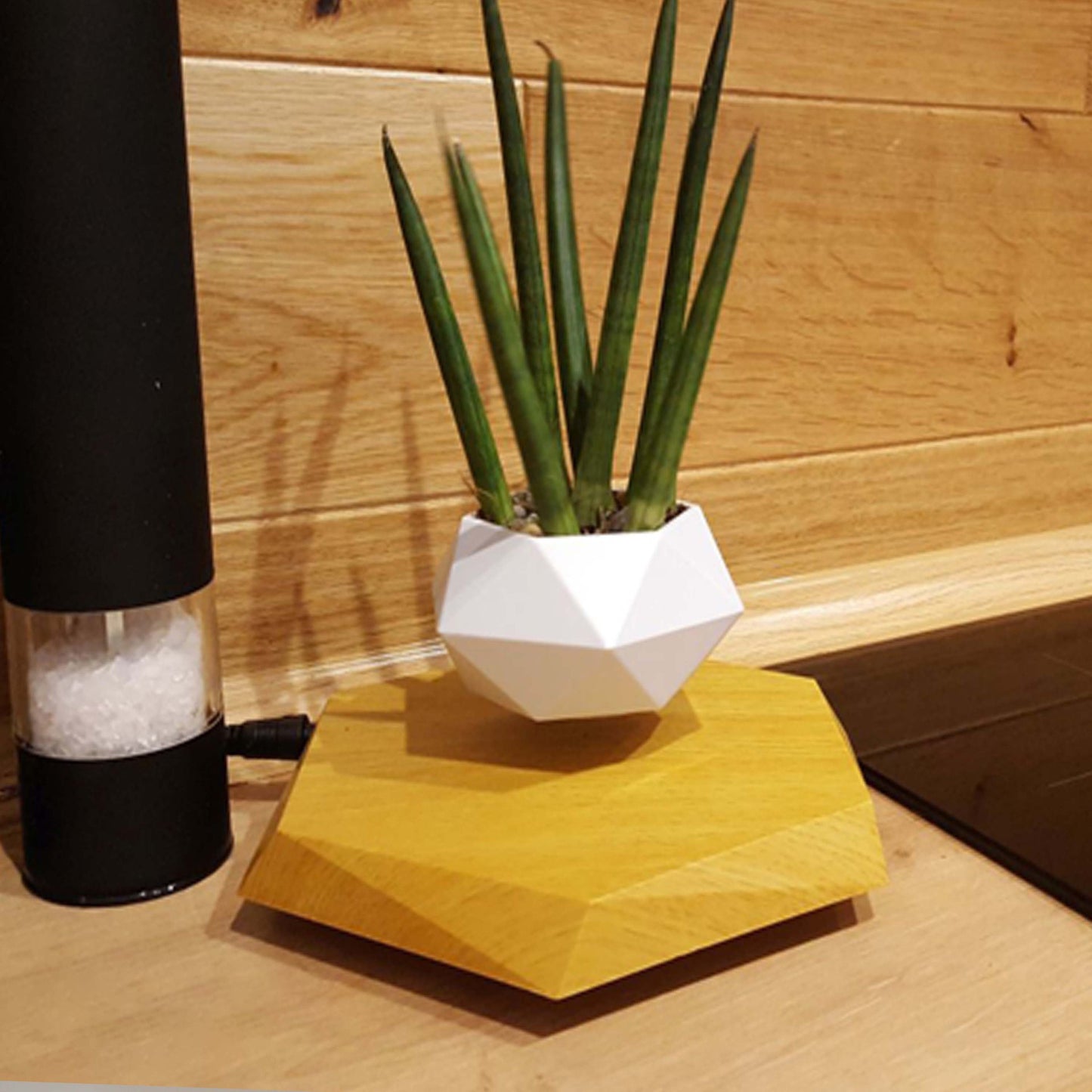 Floating Magnetic Levitating Flower Pot for Desk Decor