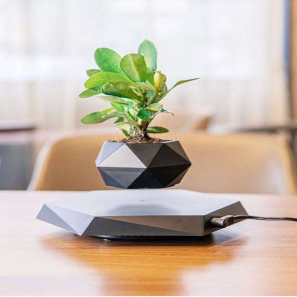 Floating Magnetic Levitating Flower Pot for Desk Decor