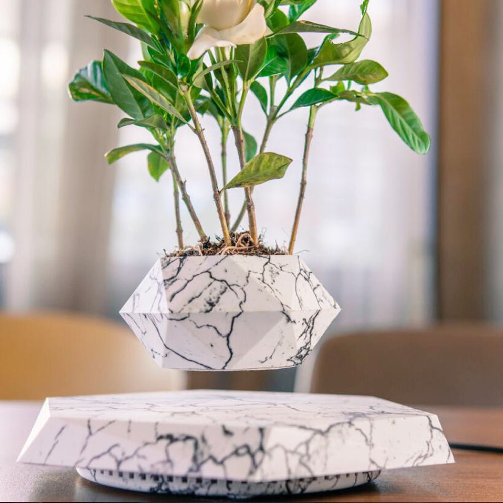Floating Magnetic Levitating Flower Pot for Desk Decor