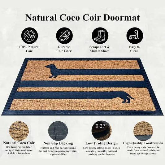 Funny Coir Doormat Hello There Welcome Front Porch Decor Doormat For The Entrance Way Outdoor With Heavy-Duty Non Slip Coconut Coir Doormat 30x17 Inch